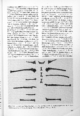 Vorschaubild Seite 109