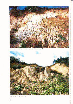 Vorschaubild von Abb. 1: Karrenähnliche Erosionsrinnen im Geschiebemergel