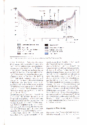 Vorschaubild von Abb. 2: Auenquerprofil im Taal der Jarplunder Au (Abstand der Bohrungen: 5 m).