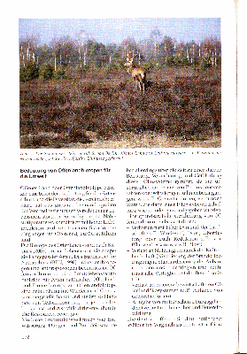 Vorschaubild von Abb. 1: Die Schönower Heide nördlich von Berlin, offenes Land mit Calluna vulgaris, als Vertreter der Militärheiden, ist durch vielfältige Einflüsse gefährdet.