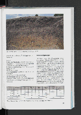 Vorschaubild Seite 105