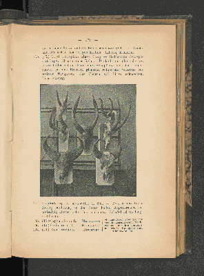 Vorschaubild von [[Mitteilungen von Forschungsreisenden und Gelehrten aus den deutschen Schutzgebieten]]