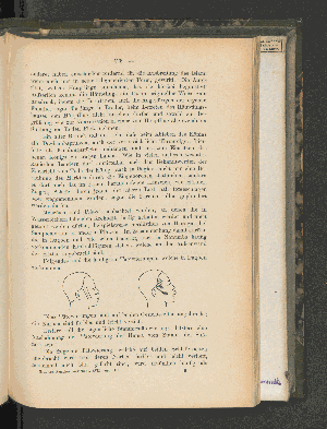 Vorschaubild von [[Mitteilungen von Forschungsreisenden und Gelehrten aus den deutschen Schutzgebieten]]