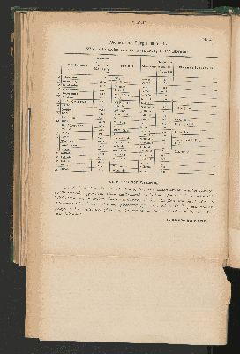 Vorschaubild Seite XXXVIII