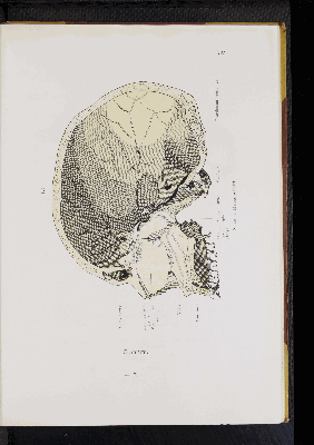 Vorschaubild von [Atlas zur Skelettlehre]