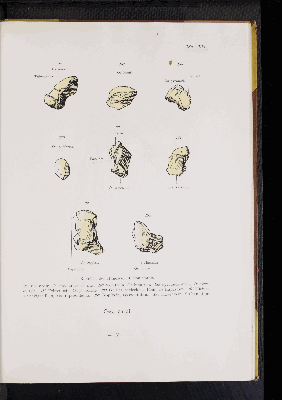 Vorschaubild von [Atlas zur Skelettlehre]