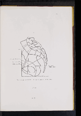 Vorschaubild von [Atlas zur Skelettlehre]