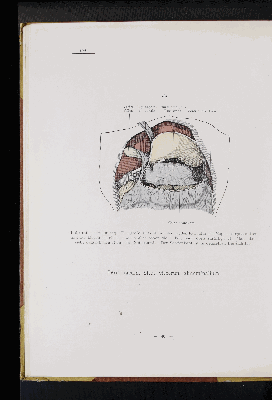 Vorschaubild von [Atlas zur Eingeweidelehre]