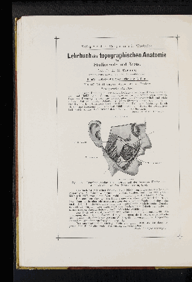 Vorschaubild von [Atlas zur Eingeweidelehre]