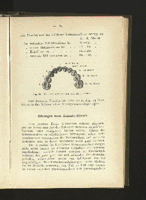 Vorschaubild Seite 81