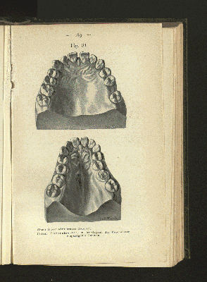 Vorschaubild Seite 183