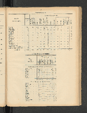 Vorschaubild von [[Jahresbericht über die Entwickelung der Schutzgebiete in Afrika und der Südsee]]