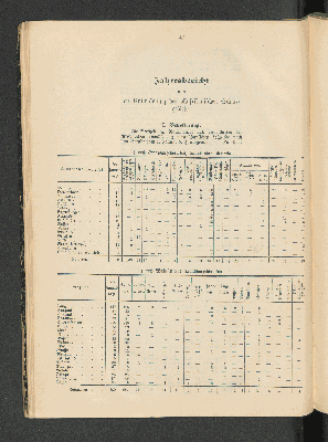 Vorschaubild von [[Jahresbericht über die Entwickelung der Schutzgebiete in Afrika und der Südsee]]