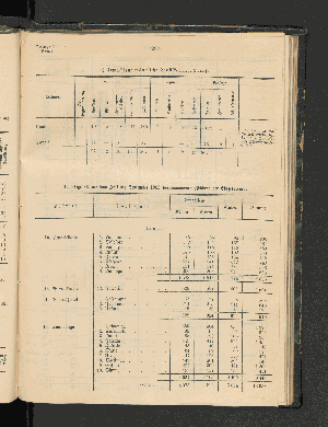 Vorschaubild von III. Ergebnis der vom Juli bis September 1902 vorgenommenen Zählung der Eingeborenen.