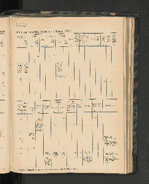 Vorschaubild von [[Jahresbericht über die Entwickelung der Schutzgebiete in Afrika und der Südsee]]