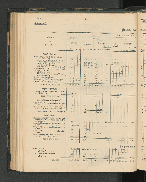 Vorschaubild von [[Jahresbericht über die Entwickelung der Schutzgebiete in Afrika und der Südsee]]