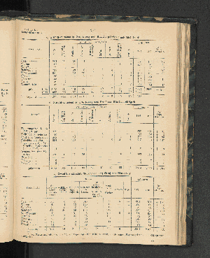 Vorschaubild von [[Jahresbericht über die Entwickelung der Schutzgebiete in Afrika und der Südsee]]