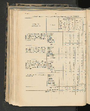 Vorschaubild von [[Jahresbericht über die Entwickelung der Schutzgebiete in Afrika und der Südsee]]