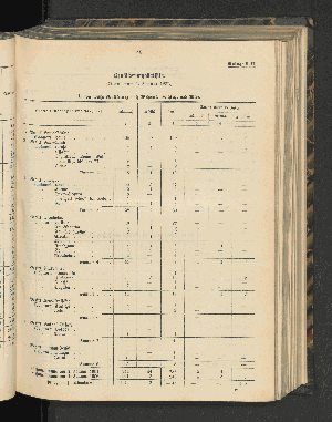 Vorschaubild von [[Jahresbericht über die Entwickelung der Schutzgebiete in Afrika und der Südsee]]