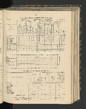 Vorschaubild von [[Jahresbericht über die Entwickelung der Schutzgebiete in Afrika und der Südsee]]