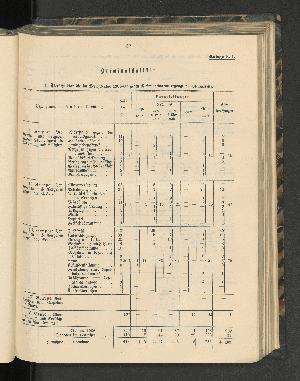 Vorschaubild von [[Jahresbericht über die Entwickelung der Schutzgebiete in Afrika und der Südsee]]