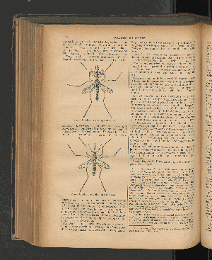 Vorschaubild Seite 156