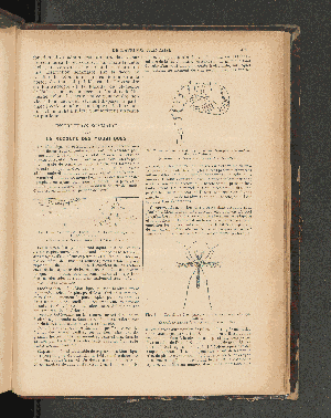 Vorschaubild Seite 305