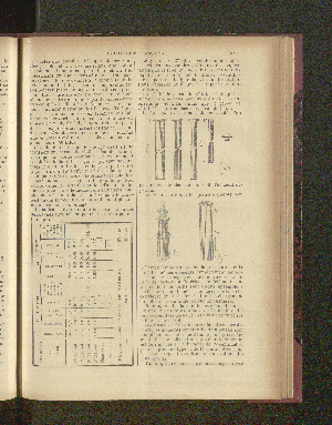 Vorschaubild Seite 189