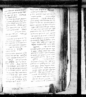 Vorschaubild von Hilkhot shehitah, fol. 41-44