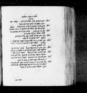 Vorschaubild von Hilkhot shehitah, fol. 91-101