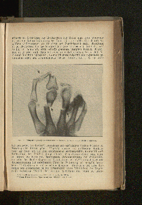 Vorschaubild Seite 41