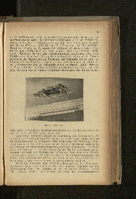 Vorschaubild Seite 67