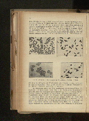 Vorschaubild Seite 174