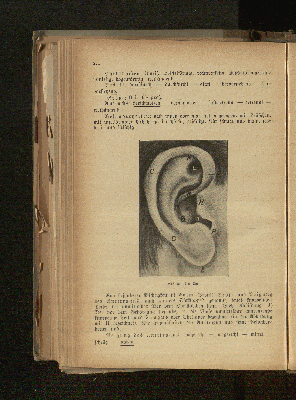 Vorschaubild Seite 234