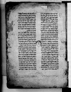 Vorschaubild von Torah, Haftarot, Megilot ve-Iyov 1,1-42,17