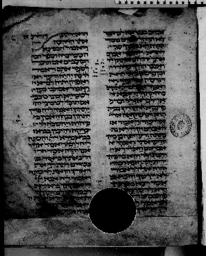 Vorschaubild von Torah, Haftarot, Megilot ve-Iyov