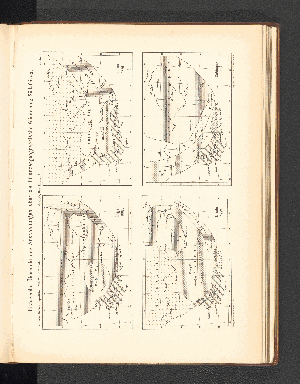 Vorschaubild von Histortische Übersicht der Anschauungen über die Pflanzengeographische Gliederung Südafrikas.