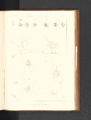 Vorschaubild von [Atlas]