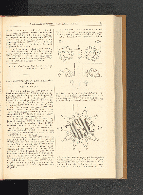 Vorschaubild Seite 167