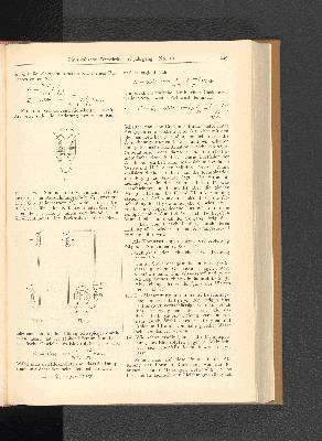 Vorschaubild Seite 229