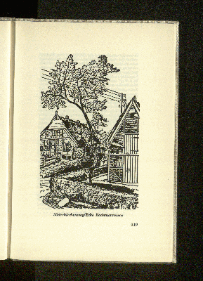 Vorschaubild Seite 119