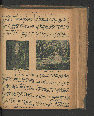 Vorschaubild Seite VII