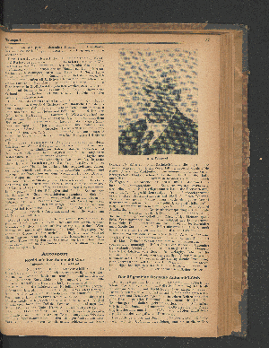Vorschaubild Seite 81